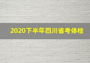 2020下半年四川省考体检