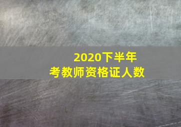 2020下半年考教师资格证人数