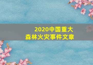 2020中国重大森林火灾事件文章