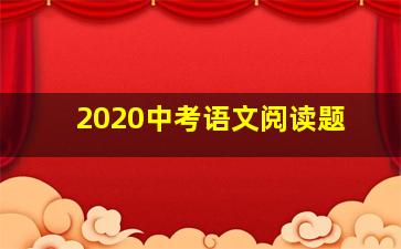 2020中考语文阅读题