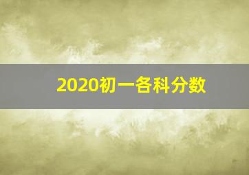 2020初一各科分数