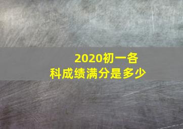 2020初一各科成绩满分是多少