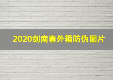 2020剑南春外箱防伪图片