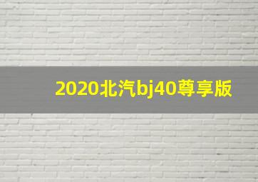 2020北汽bj40尊享版