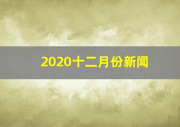 2020十二月份新闻