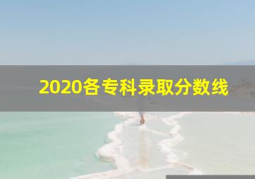 2020各专科录取分数线