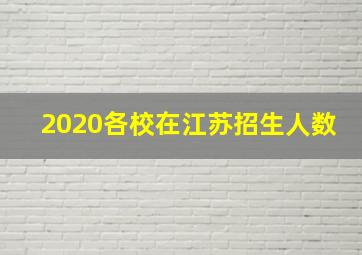 2020各校在江苏招生人数