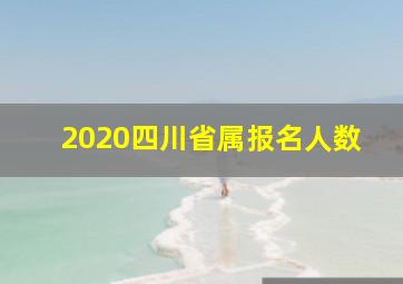 2020四川省属报名人数