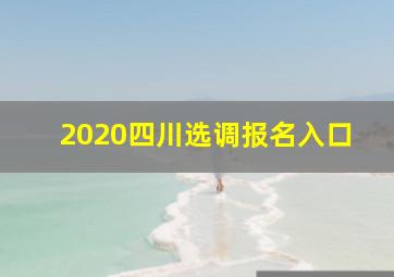 2020四川选调报名入口