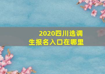 2020四川选调生报名入口在哪里