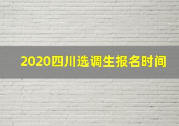 2020四川选调生报名时间