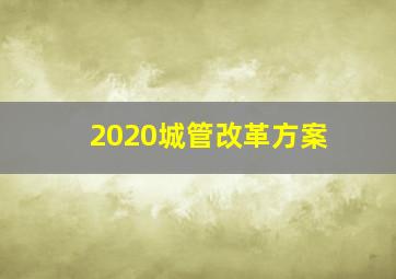 2020城管改革方案