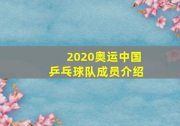 2020奥运中国乒乓球队成员介绍