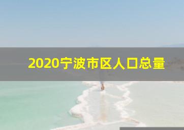 2020宁波市区人口总量