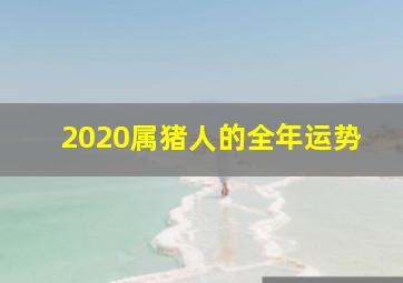 2020属猪人的全年运势