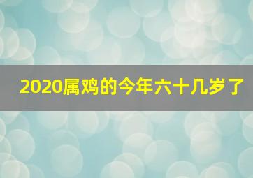 2020属鸡的今年六十几岁了