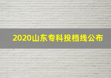 2020山东专科投档线公布