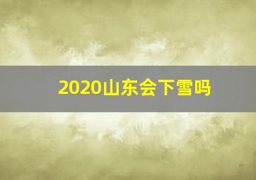 2020山东会下雪吗