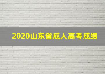 2020山东省成人高考成绩