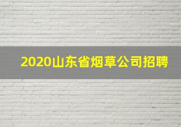 2020山东省烟草公司招聘