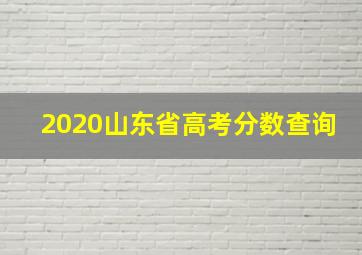 2020山东省高考分数查询