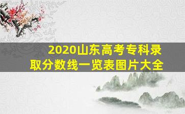 2020山东高考专科录取分数线一览表图片大全