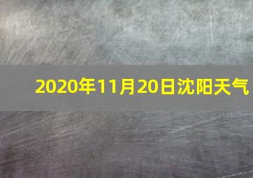 2020年11月20日沈阳天气