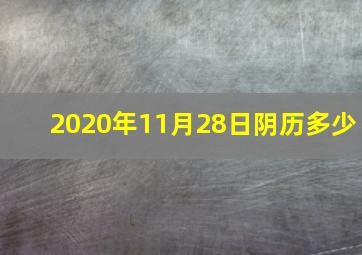 2020年11月28日阴历多少