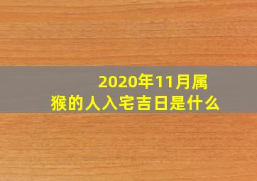 2020年11月属猴的人入宅吉日是什么