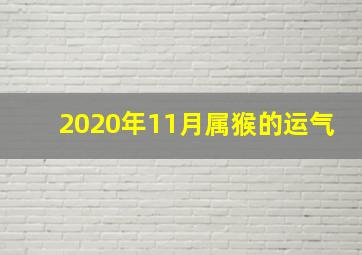 2020年11月属猴的运气