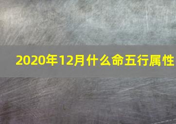 2020年12月什么命五行属性