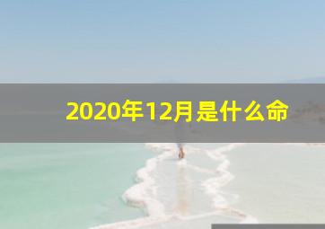 2020年12月是什么命