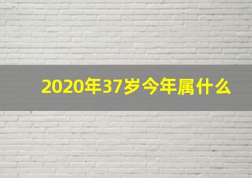 2020年37岁今年属什么