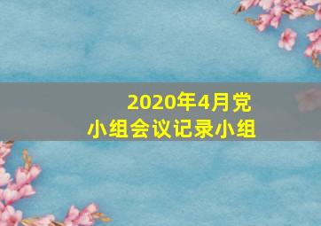 2020年4月党小组会议记录小组