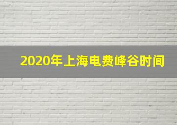 2020年上海电费峰谷时间