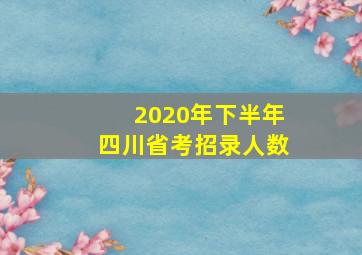 2020年下半年四川省考招录人数