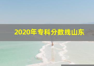 2020年专科分数线山东