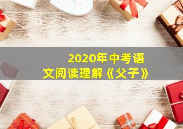 2020年中考语文阅读理解《父子》