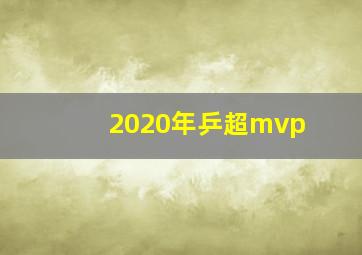 2020年乒超mvp