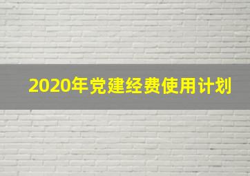 2020年党建经费使用计划