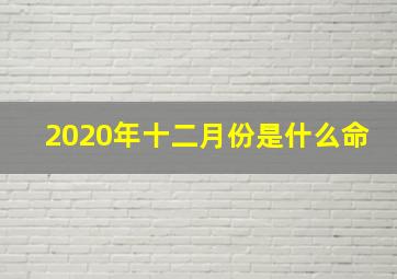 2020年十二月份是什么命