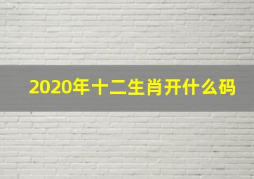 2020年十二生肖开什么码