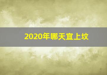 2020年哪天宜上坟