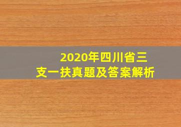 2020年四川省三支一扶真题及答案解析