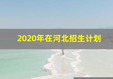 2020年在河北招生计划