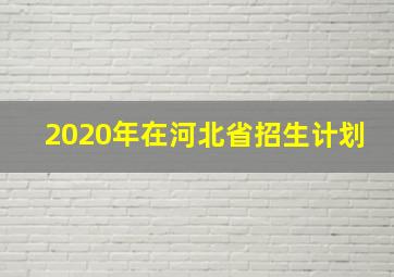 2020年在河北省招生计划