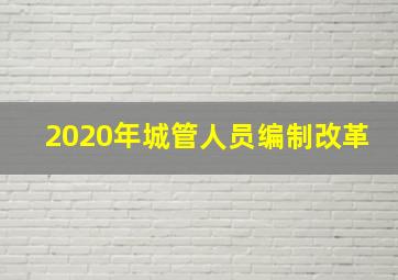 2020年城管人员编制改革