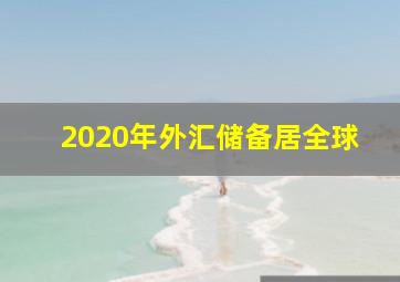 2020年外汇储备居全球