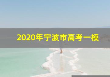 2020年宁波市高考一模