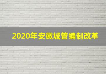 2020年安徽城管编制改革